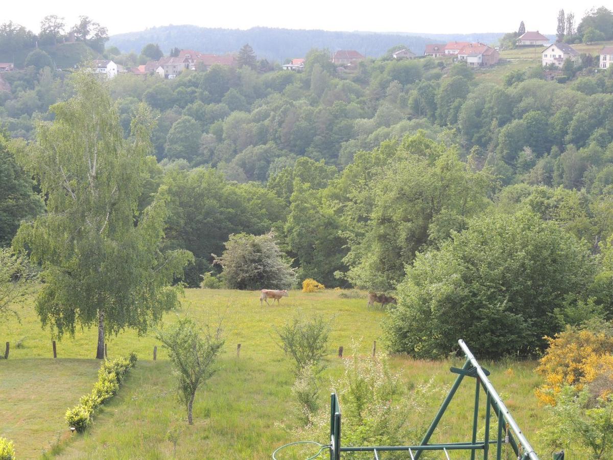 Au Chalet Bain Nordique Neuf Independant Calme Assure Haselbourg Exterior foto